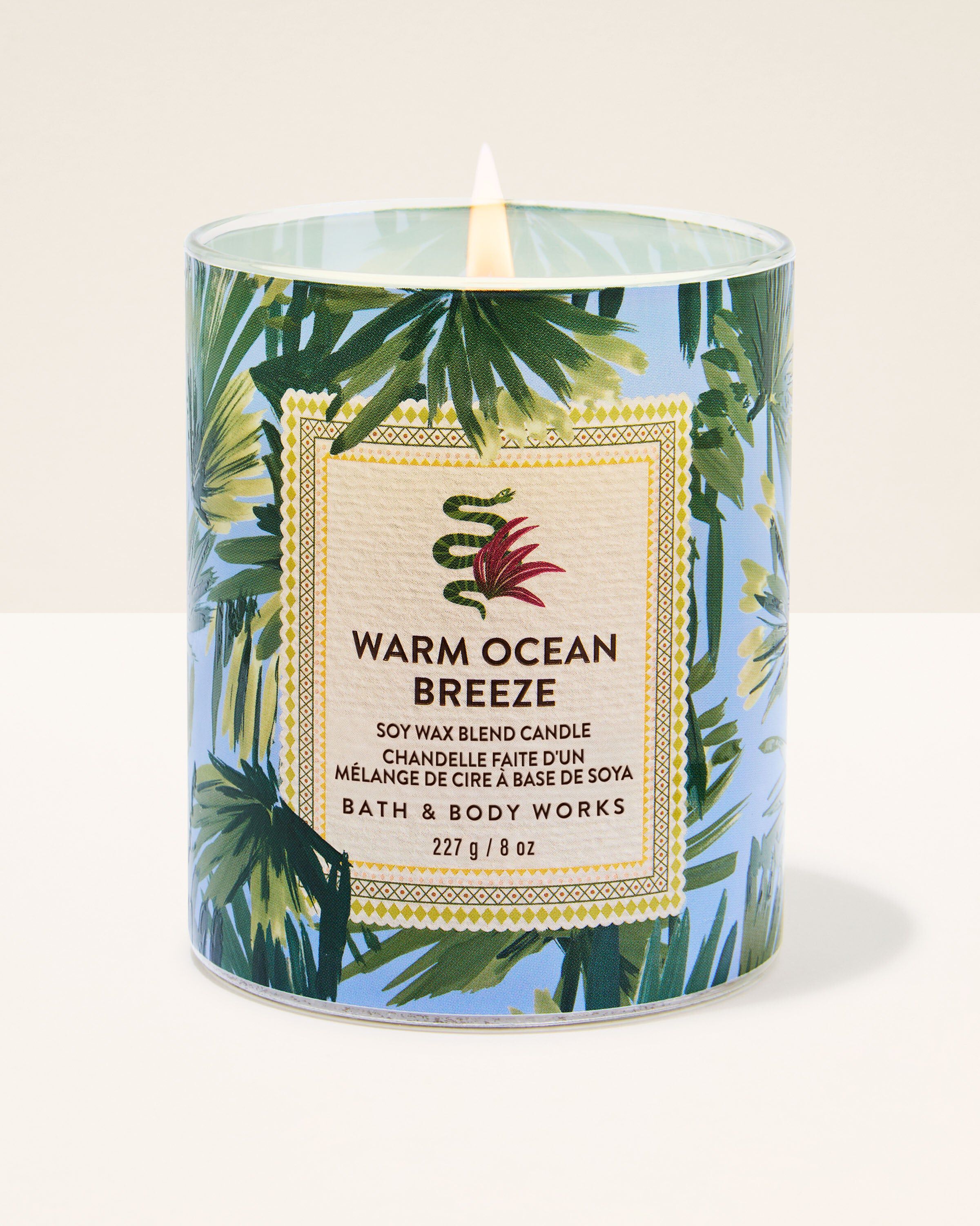 Buy Single Wick Candles | Bath & Body Works Hong Kong