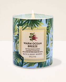 Warm Ocean Breeze Single Wick Candle image number null