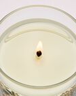 Iced Lemon Pound Cake Single Wick Candle image number null