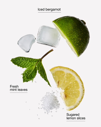 Chilled Lemon Frost Gentle & Clean Foaming Hand Soap 溫和泡泡潔手液