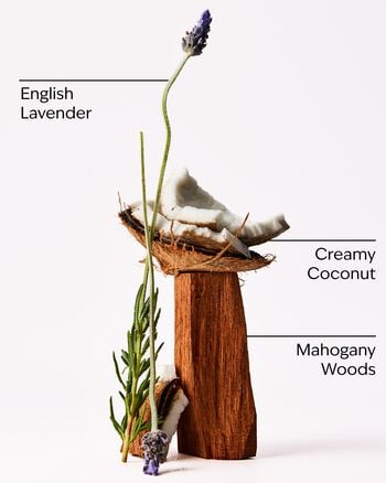 Mahogany Coconut Car Fragrance Refill 汽車香氛補充液