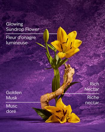 Rapunzel Body Wash 沐浴露