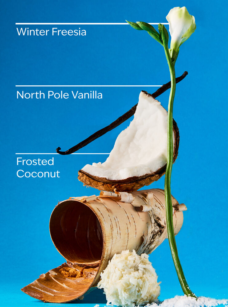 Frosted Coconut Snowball Hand Cream 護手霜