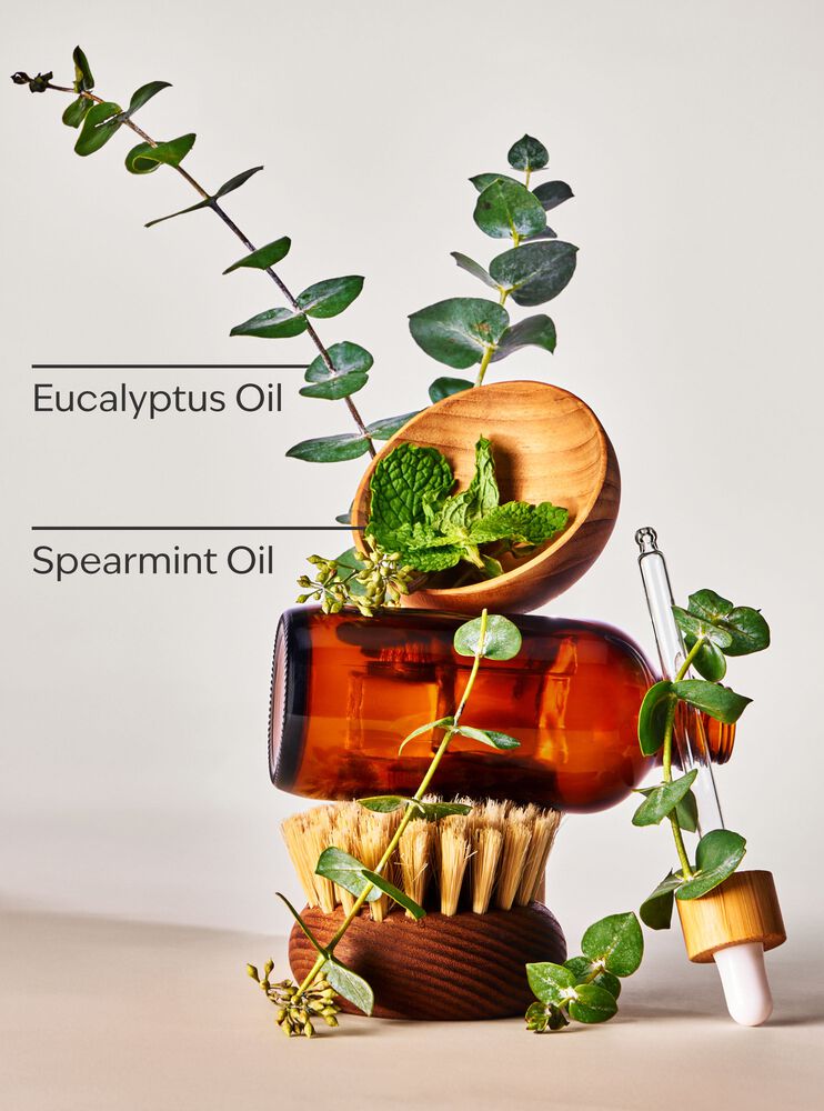 Eucalyptus Spearmint Moisturizing Body Lotion Moisturizing Body Lotion