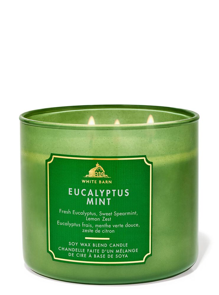 Eucalyptus Mint 3-Wick Candle 三芯蠟燭