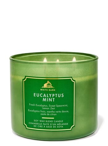 Eucalyptus Mint 3-Wick Candle 三芯蠟燭