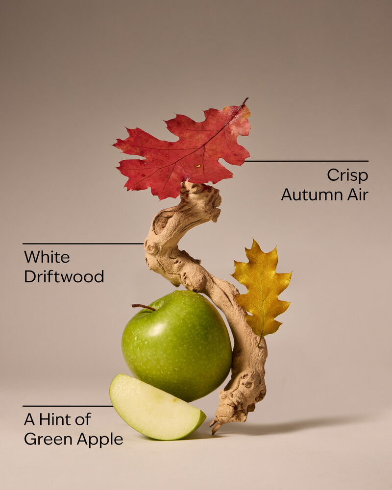 Lakeside Morning Cleansing Gel Hand Soap 凝膠洗手液