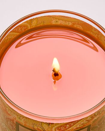 Peach Blossom & Nectar Single Wick Candle 單芯蠟燭