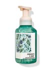 Frozen Lake Gentle & Clean Foaming Hand Soap image number null