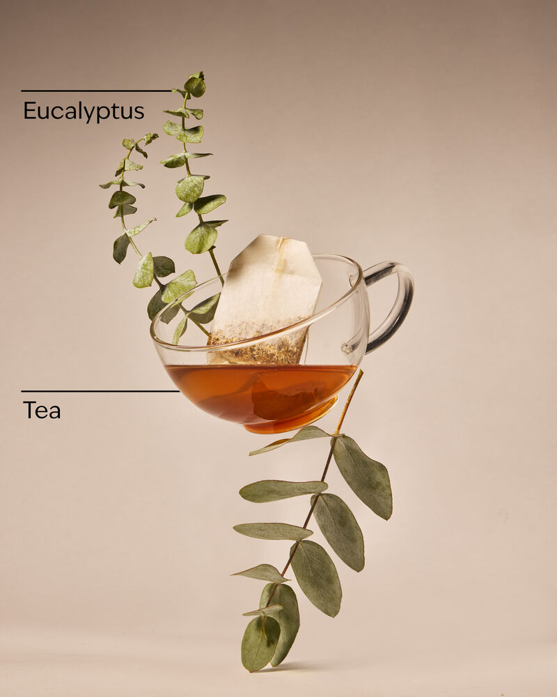 Eucalyptus Tea Moisturizing Body Lotion 保濕潤膚露