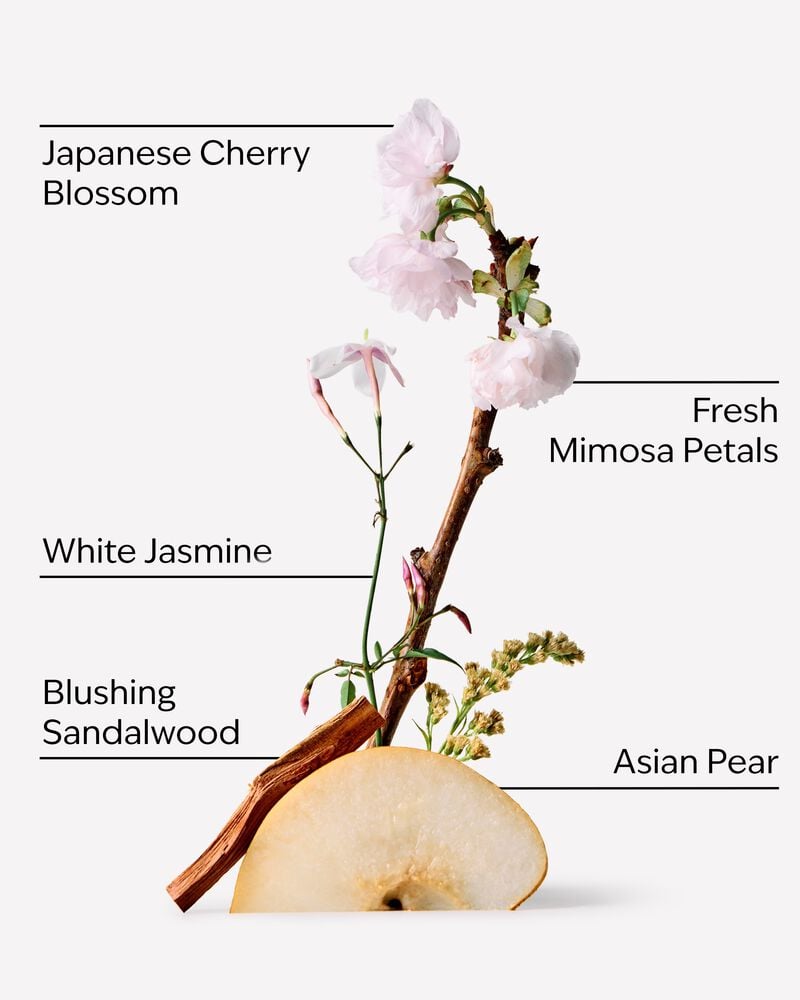 Japanese Cherry Blossom Body Butter Body Butter