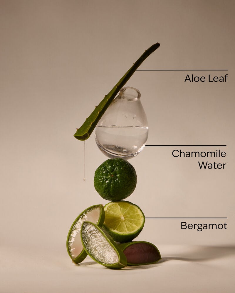 Fresh Rainfall PocketBac Hand Sanitizer PocketBac Hand Sanitizer