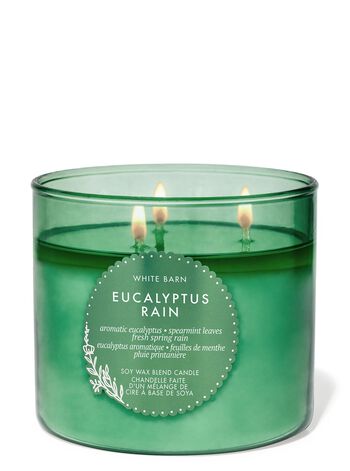 Eucalyptus Rain 3-Wick Candle 三芯蠟燭