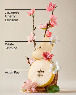 Japanese Cherry Blossom Mini Gift Set