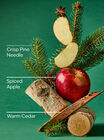 Tree Farm Mason Single Wick Candle image number null
