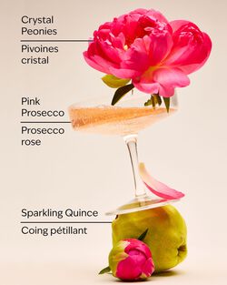 A Thousand Wishes Gift Set image number null