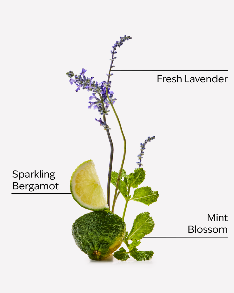Clean House Vibes Hanging Fragrance Diffuser Hanging Fragrance Diffuser