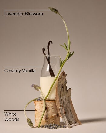 Lavender Vanilla Gift Bag Set 禮物包套裝