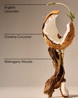 Mahogany Coconut Signature Single Wick Candle image number null