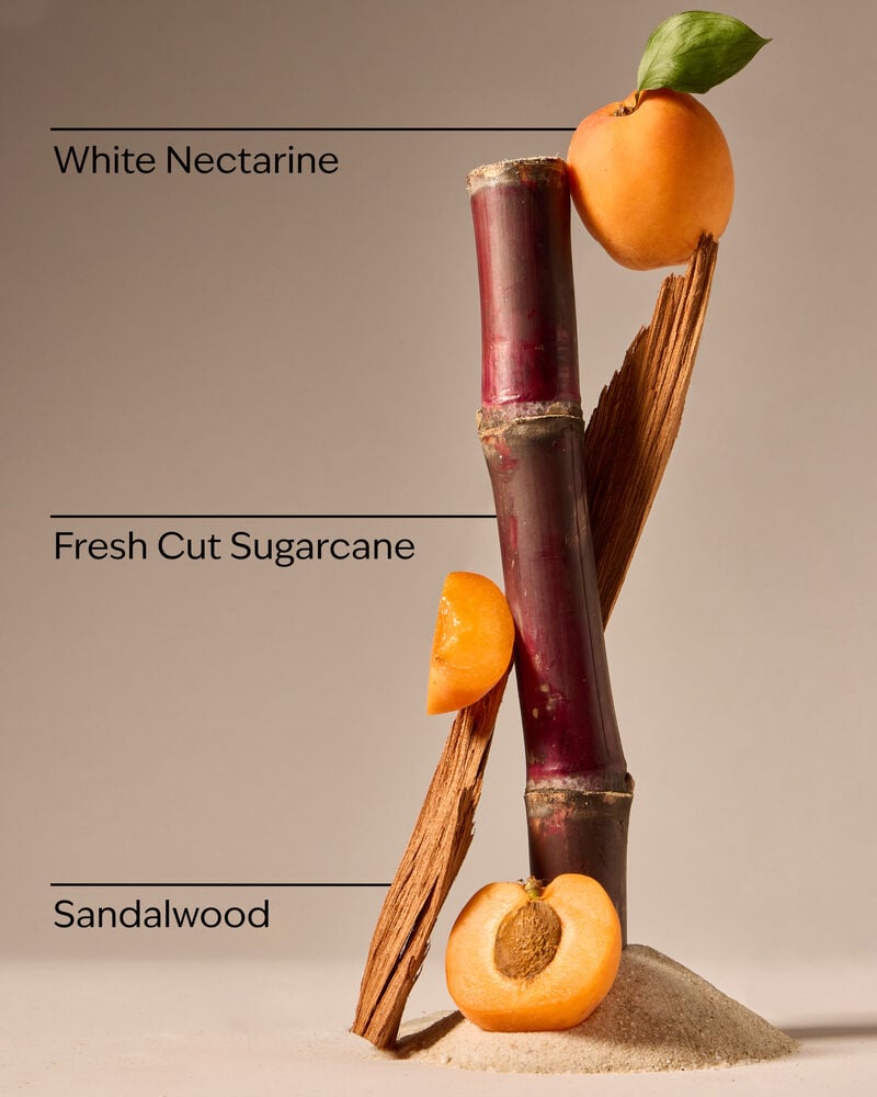 Fiji White Sands Single Wick Candle 單芯蠟燭