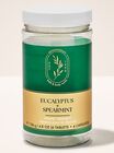 Eucalyptus Spearmint Shower Steamers image number null