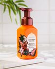 Mango Papaya Paradise Gentle & Clean Foaming Hand Soap image number null