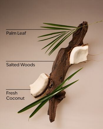 Coconut Nectar Travel Size Fine Fragrance Mist Travel Size Fine Fragrance Mist