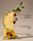 Pineapple Mango 3-Wick Candle image number null