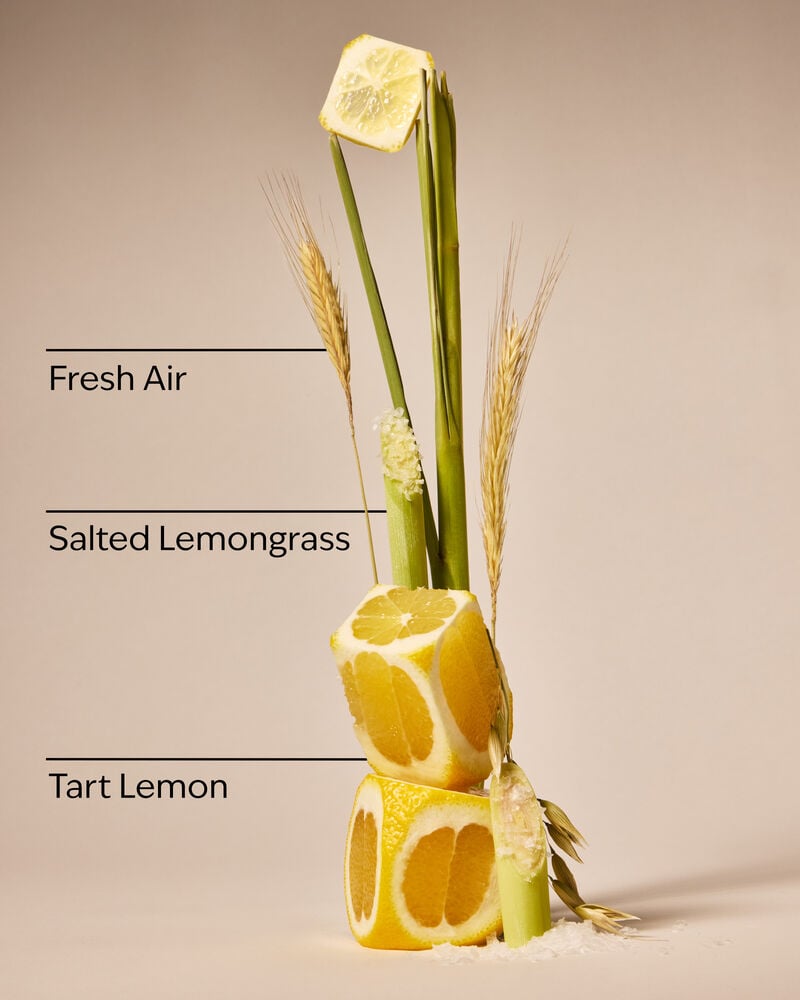 Laundry Room Lemon Wallflowers Fragrance Refill Wallflowers Fragrance Refill