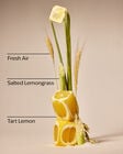 Laundry Room Lemon Wallflowers Fragrance Refill image number null
