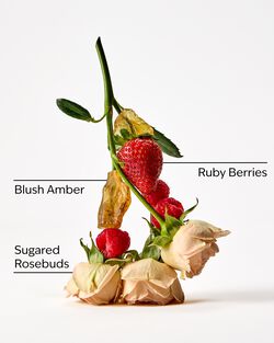 Covered In Roses Body Butter image number null