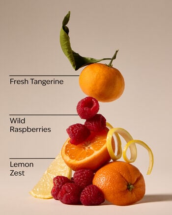 Raspberry Tangerine Hand Sanitizer Spray Hand Sanitizer Spray