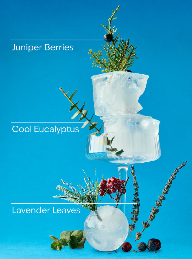 Frozen Lake Gentle & Clean Foaming Hand Soap 溫和泡泡潔手液