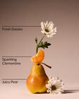Gingham Fresh Body Lotion image number null