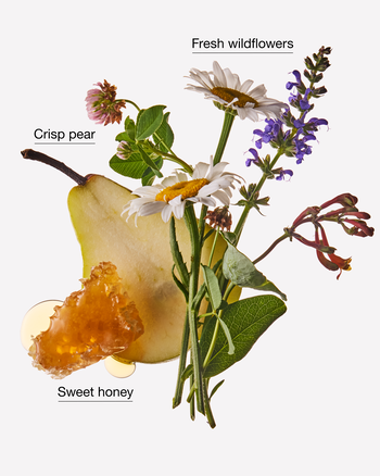 Honey Wildflower Gentle & Clean Foaming Hand Soap 溫和泡泡潔手液