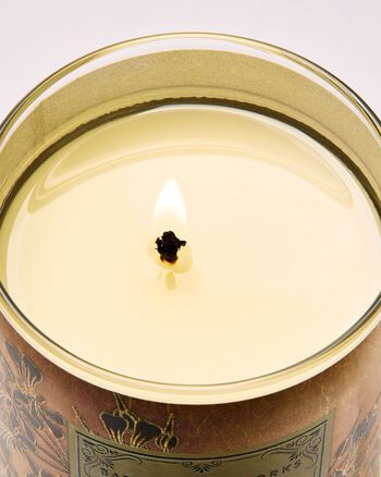 Backyard Honeysuckle Single Wick Candle 單芯蠟燭