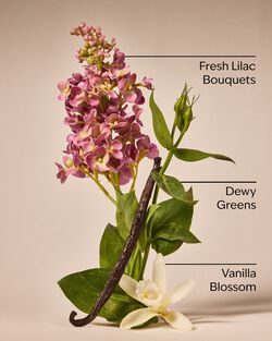 Pink Lilac & Vanilla 3-Wick Candle image number null