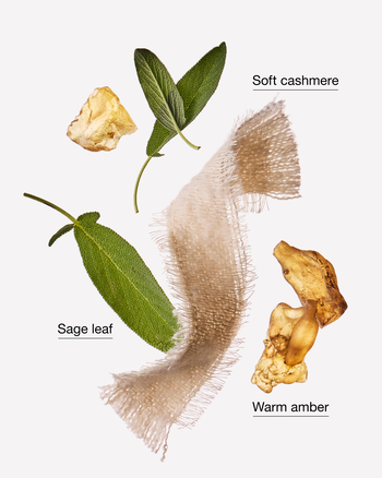 Cashmere Blanket Gentle & Clean Foaming Hand Soap 溫和泡泡潔手液