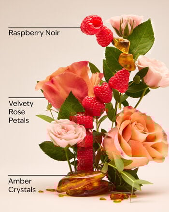 Into The Night Shimmer Body Oil 閃粉身體潤膚油