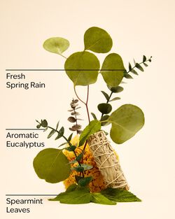 Eucalyptus Spearmint Gift Set image number null