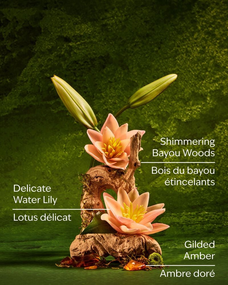 Tiana Body Wash 沐浴露