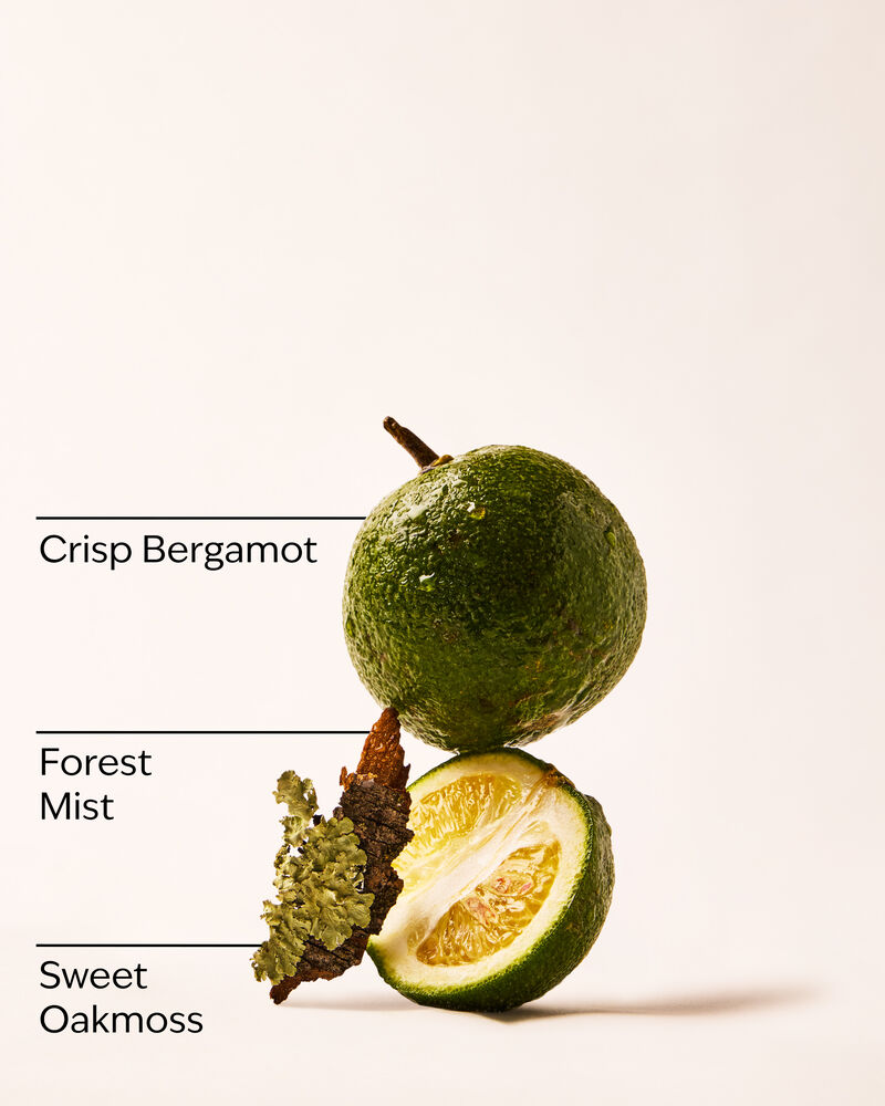 A Quiet Escape Wallflowers Fragrance Refill 香氛補充液