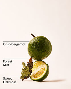 A Quiet Escape Wallflowers Fragrance Refill image number null