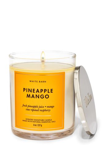Pineapple Mango Signature Single Wick Candle 招牌單芯蠟燭