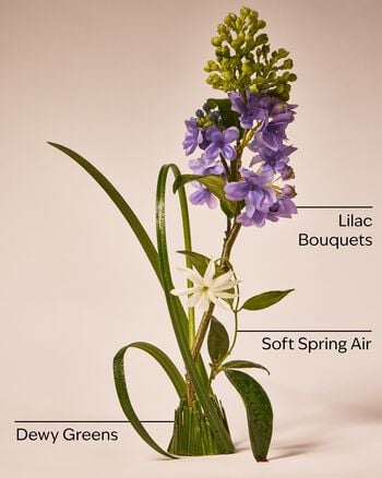 Fresh Cut Lilacs 3-Wick Candle 3-Wick Candle
