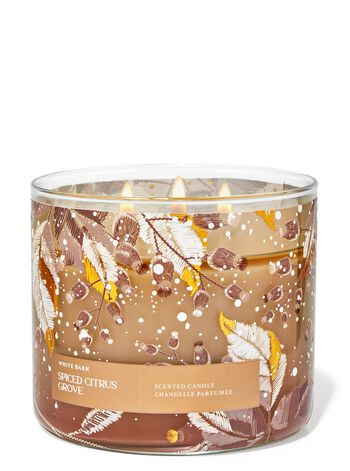Spiced Citrus Grove 3-Wick Candle 三芯蠟燭