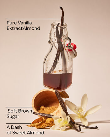 Classic Vanilla Wallflowers Fragrance Refill 香氛補充液