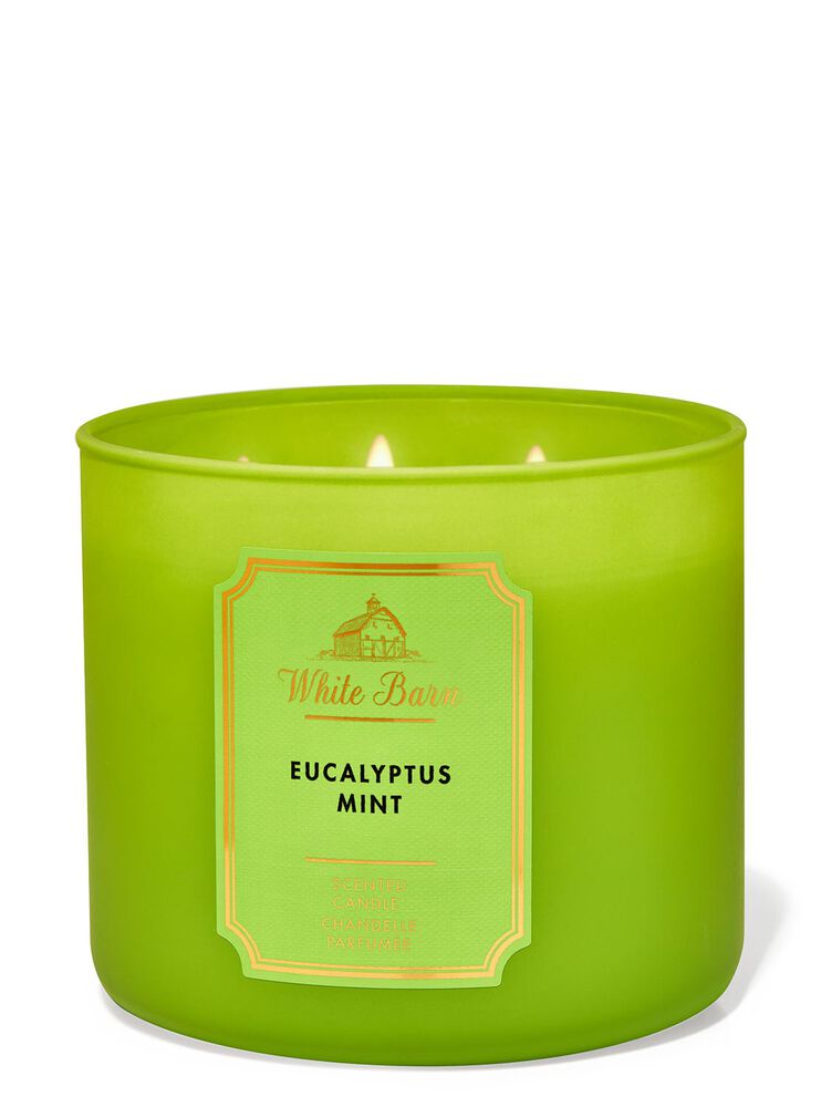 Eucalyptus Mint 3-Wick Candle 三芯蠟燭
