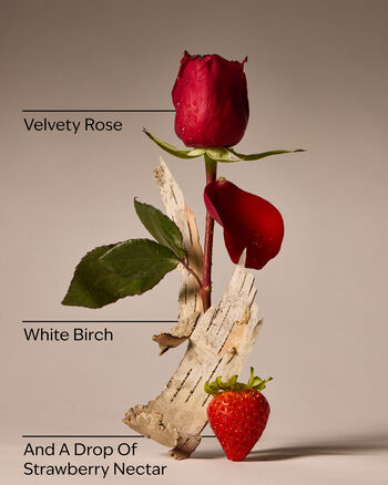 You're The One Fine Fragrance Mist 香氛噴霧