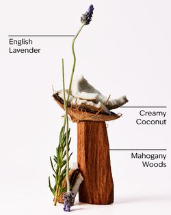 Mahogany Coconut Single Wick Candle image number null